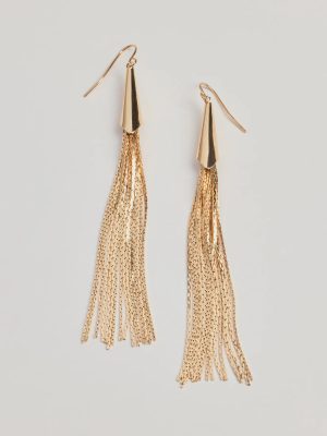 Charming Beauty Metal Tassel Earrings